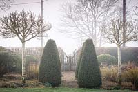 Clipped yews framed by a pair of Crataegus x lavalleei 'Carrierei' on a misty March morning