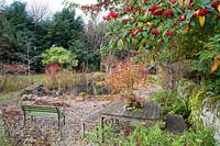 Pond area with marginal planting of Corylus avellana contorta  - Contorted Hazel, Cornus  - Dogwood - stems, viewed from seating area under Cotoneaster in berry 