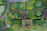 View over garden looking down on mounds of clipped Osmanthus burkwoodii, hedge of Buxus sempervirens - Box