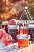 Selection of jams and jellys in Autumn with apples