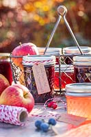 Selection of jams and jellys in Autumn with apples - french labels