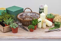 Materials and tools for creating a green advent basket with succulents