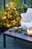 Lounge furniture inside greenhouse decorated for Christmas with tree, fairylights and candles