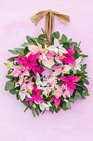 Finshed hanging Poinsettia wreath in pastel colours - small flowered Prinsettias