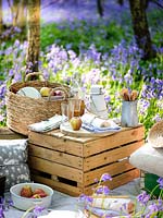 Picnic items set out in Bluebell wood in Spring. 