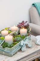 Advent arrangement in a wooden box with carved pillar candles and succulents on coffee table. 