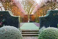 View from the Lower Rill Garden towards the Lime Allee on a frosty December morning. Planting includes: clipped yew balls and hedge 'Taxus baccata' a beech hedge 'Fagus' and the non-suckering limes, Tilia platyphyllos 'Rubra' with their bright red new growth catching the low dawn light.