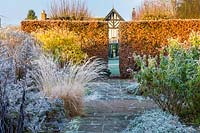The Lanhydrock Garden on a frosty December morning. Planting includes: Molinia 'Heidebraut' Miscanthus 'Gracillimus' and Physocarpus opulifolius 'Dart's Gold'
