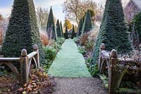 The Yew Walk on a frosty December morning. Planting includes: clipped yew pyramids 'Taxus baccata' Miscanthus 'Morning Light', Bergenias, roses and a range of herbaceous perennials such as Phlox paniculata, Penstemons, Lysimachia ephemerum and Leucanthemum superbum