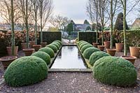 The Upper Rill Garden on a frosty December morning. Planting includes: clipped yew hedge 'Taxus baccata' box balls 'Buxus' pots containing Hydrangea paniculata 'Unique' and fastigate hornbeams, Carpinus 'Frans Fontaine'.