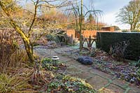 Alice's Garden at Wollerton Old Hall Garden, Shropshire - Planting includes: Prunus 'The Bride' and Cericidiphyllum japonicum 'Pendulum'