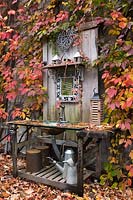 Moulded clear glass sink in old wooden vanity decorated with birdhouses and Ampelopsis - Virgin vines growing on wall in backyard garden