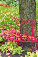 Red painted metal slat and wrought iron garden bench covered with fallen Acer - Maple tree leaves against a deciduous tree trunk in a border of Hosta - Hosta plants in backyard garden in autumn