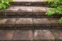 Water stains and  Bryophyta - Green Moss covered paving stone steps