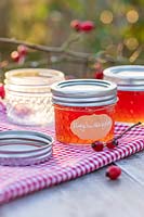 Hagebuttengelee - Rosehip Jelly in glass jars on table top with gingham table cloth and rose hips. 