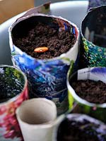 Homemade colourful paper pors with compost and beans