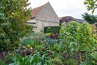 Vegetable garden - Yews Farm, Martock, Somerset