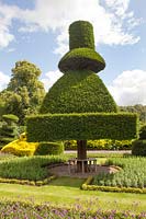 Unusual topiary with tree seat underneath