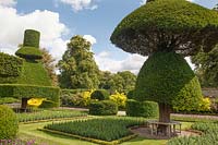 Unusual topiary shapes with tree seats underneath and formal beds either side
