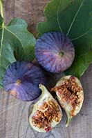 Ripe figs with leaves