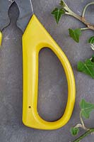Gardening Alphabet Letter D shown in handle of cutters
