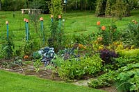 Potager garden with Dahlia, Tagetes and vegetables