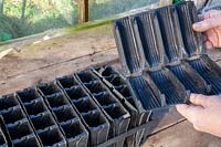 Root trainers, type of deep modular tray, used for sowing to minimize root disturbance