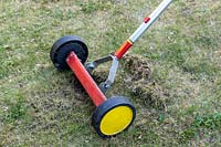 Scarifying a lawn with a wheeled scarifier in spring