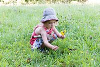 Girl picking wild flowers in a meadow