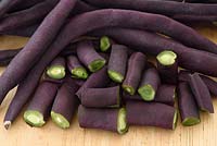 Phaseolus vulgaris 'Violet Podded' - French Climbing Bean - picked beans some cut up ready for cooking 
