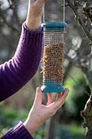 Putting up hanging bird feeder filled with mealworms.