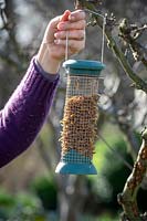 Putting up hanging bird feeder filled with mealworms. 