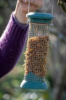 Putting up hanging bird feeder filled with mealworms. 