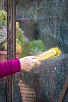 Cleaning greenhouse glass with a brush before winter