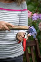 Cleaning and sharpening secateurs using a sharpening stone
