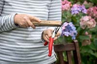 Cleaning and sharpening secateurs using a sharpening stone