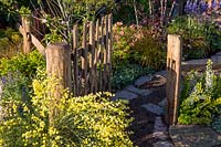 Wooden picket garden gate with a gravel and stone path with mixed planting of Cytisus scoparius - Commom Broom, Euphorbia, Camassia esculenta 'Quamash' and Lychnis flos cuculi 'Terry's Pink'. The Water Spout Garden 