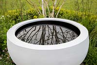 Contemporary reflection water bowl with a silver birch tree reflected in the water. Time is a Healer garden, RHS Malvern Spring Festival, 2016. Designer Martyn Wilson Associates