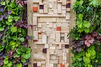 A vertical gardening living wall and modern wooden fence made from old timber cut offs. For The Love Of It, RHS Tatton Park Flower Show, 2017. garden Designer: Pip Probert