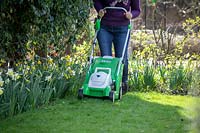 First mowing of the lawn in early spring using a rechargeable battery mower