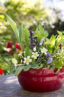 Shady spring container with, Lily of the Valley - Convallaria majalis, Bugle - Ajuga reptans, Sweet Violets - Primula vulgaris and Primrose - Viola odorata
