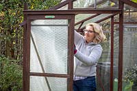 Pinning up plastic bubblewrap to insulate a greenhouse ready for winter