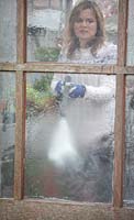 Cleaning greenhouse windows with a pressure washer.