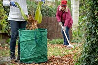 Autumn tidy up - Clearing leaves using a rake and leaf grabbers.