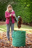 Gathering up leaves with a leaf grabber and collection bag.