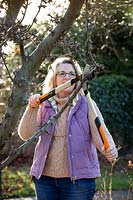 Pruning a crab apple tree with long handled loppers.
