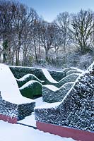 Snow covered wave-form hedges of Taxus baccata and Buxus sempervirens. Garden â€“ Veddw