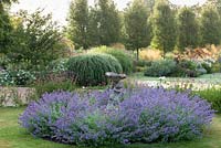 An old bird bath is fully enclosed in a circle of catmint, Nepeta. Behind, an avenue of shapely ornamental pears, Pyrus calleryana 'Chanticleer'.