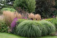 Prairie style herbaceous border planted with clumps of feather reed grasses, Calamagrostis x acutiflora 'Karl Foerster', cleomes, euphorbia, persicaria and lythrum.