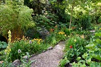 View of a path through a garden which is situated in a steep-sided valley or combe with its own sheltered microclimate which permits tender exotic plants to flourish